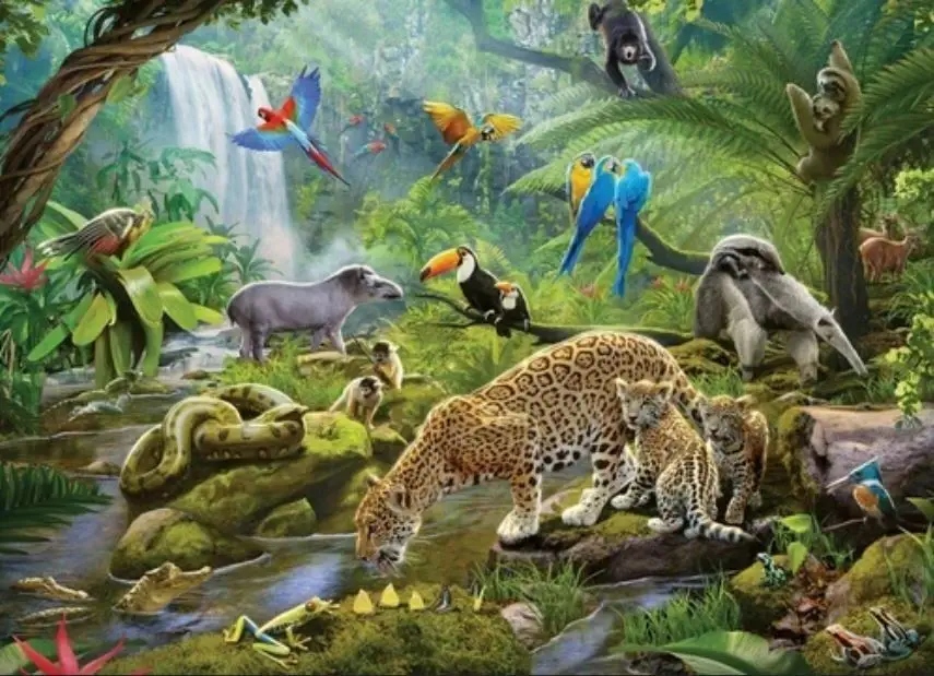 Puzzle 60 Zwierzęta z lasu tropikalnego (3)