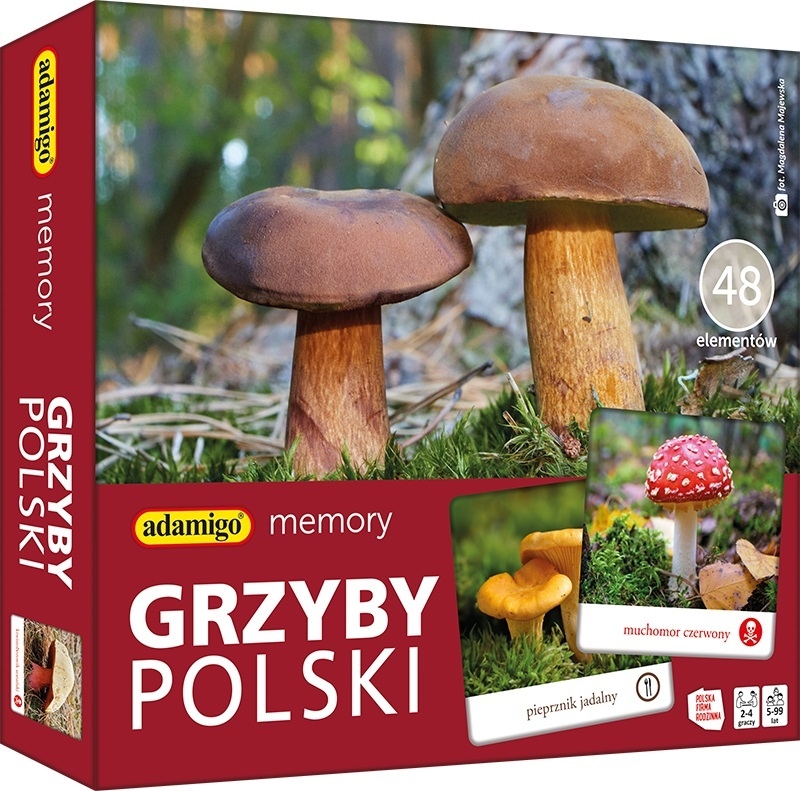 MEMORY - Grzyby Polski GRA EDUKACYJNA ADAMIGO  (3)