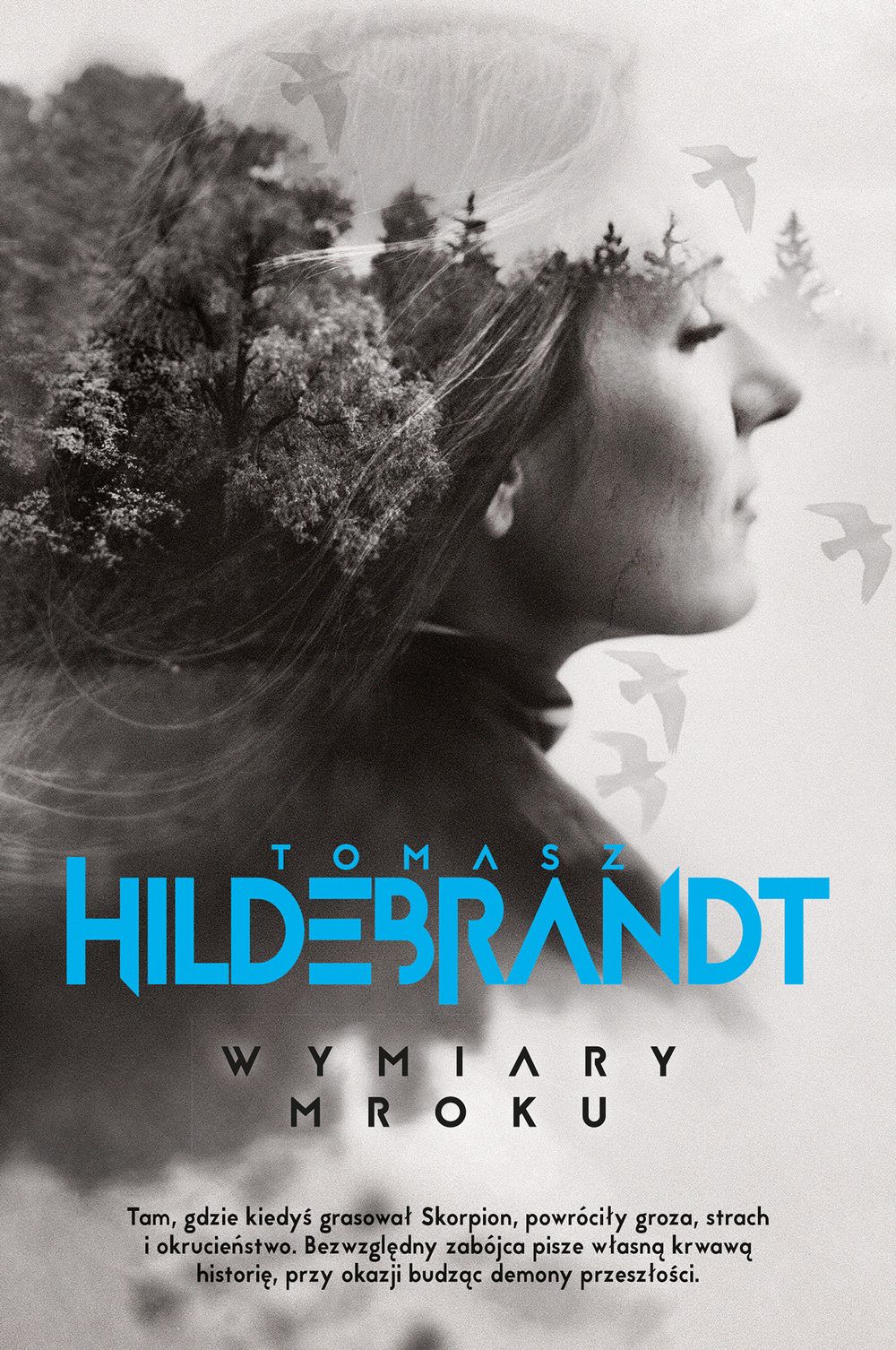 WYMIARY MROKU - Tomasz Hildebrandt