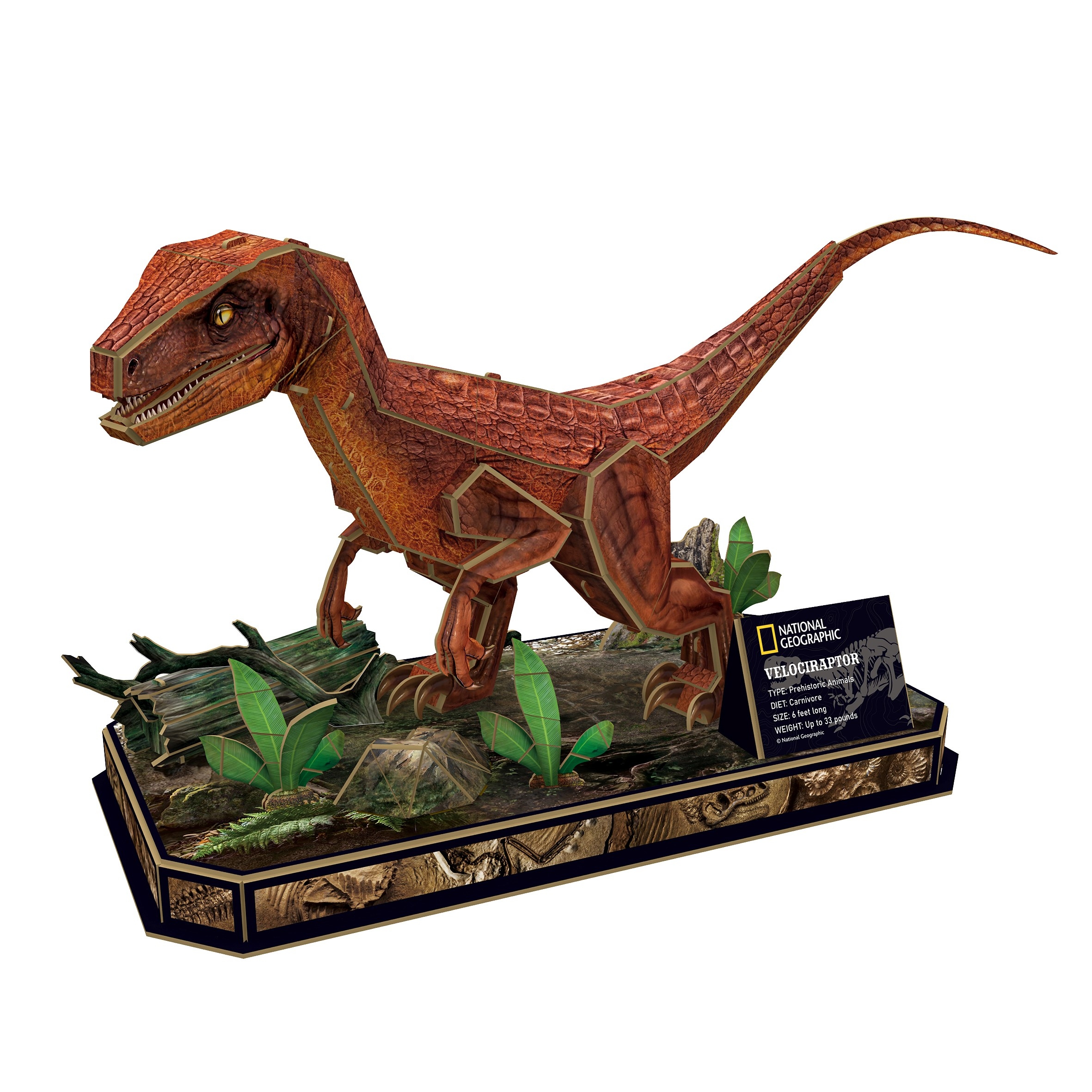 Puzzle 3D Welociraptor National Geographic (3)