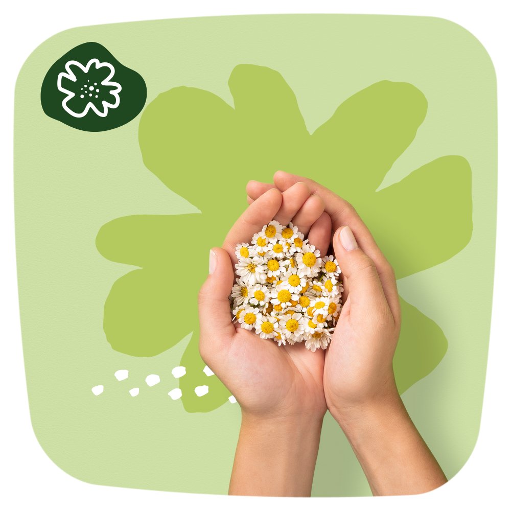 Naturella Ultra Maxi Rozmiar 3 Podpaski ze skrzydełkami × 16 (6)