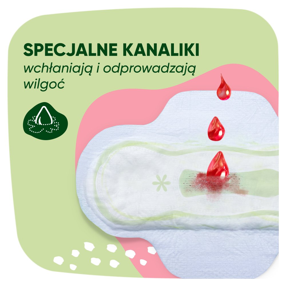 Naturella Classic Maxi Camomile Podpaski 16szt (4)