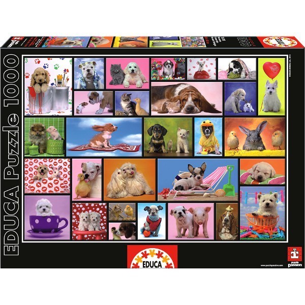 Puzzle 1000 elementów Wspólne chwile Puzzle 1000 elementów Wspólne chwile