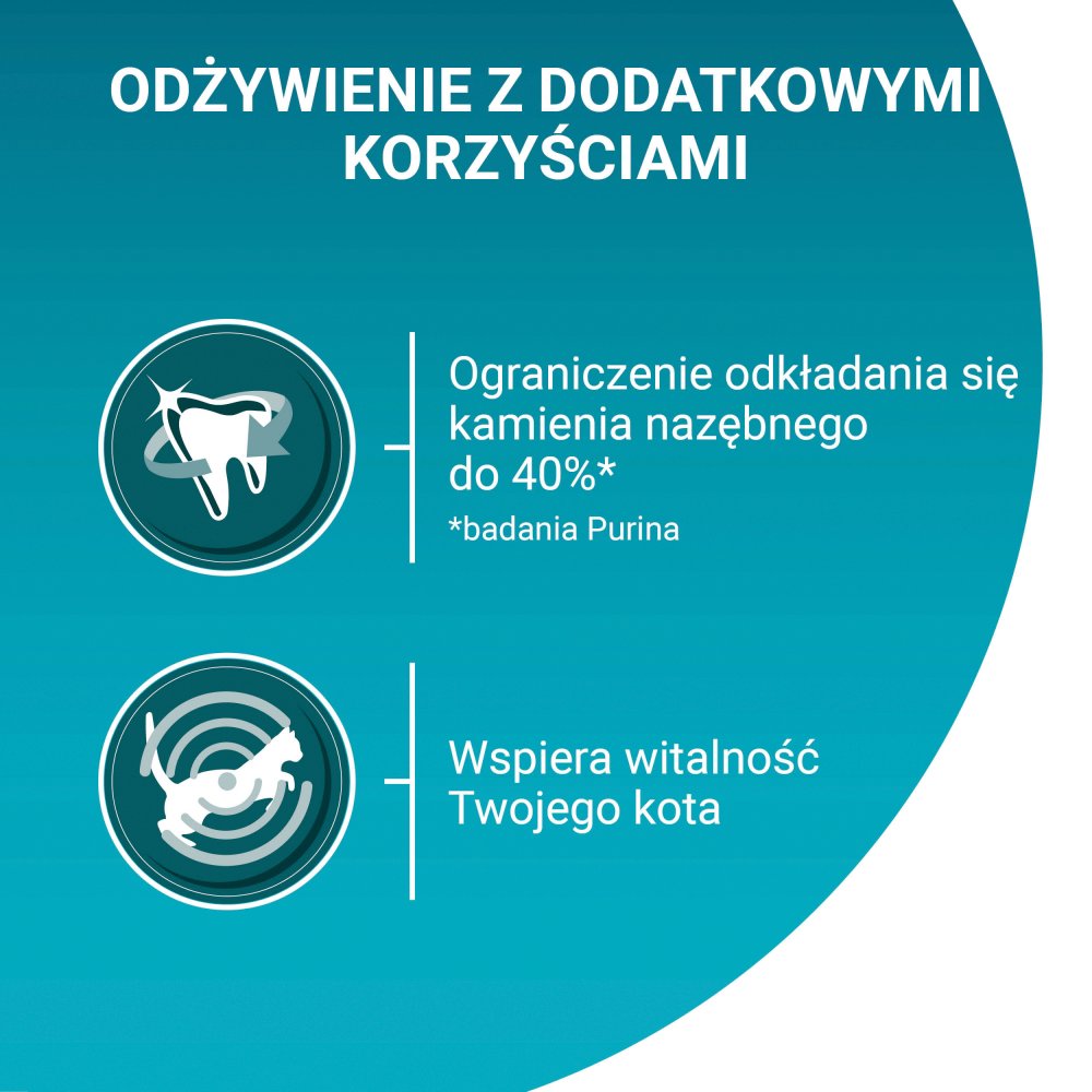 PURINA ONE Bifensis Adult Karma dla kotów bogata w wołowinę 800 g (2)