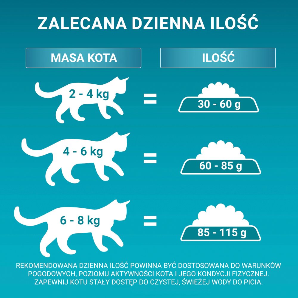 PURINA ONE Bifensis Adult Karma dla kotów bogata w wołowinę 800 g (6)