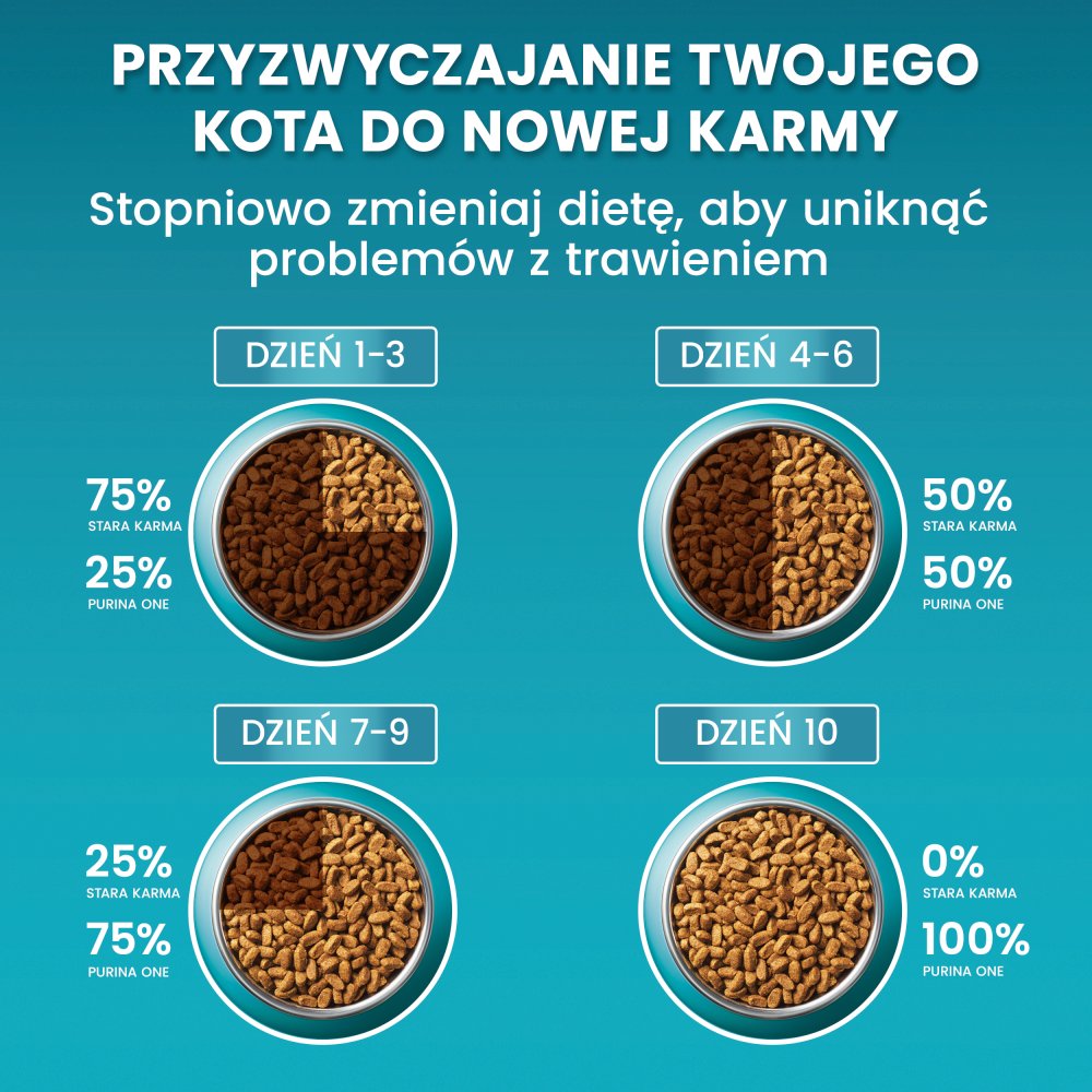 PURINA ONE Bifensis Adult Karma dla kotów bogata w wołowinę 800 g (5)