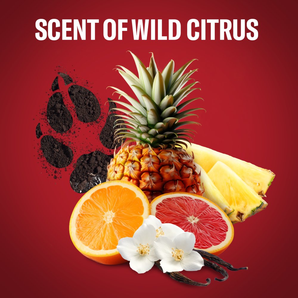 Old Spice Wolfthorn Dezodorant w sprayu dla mężczyzn 150 ml (8)