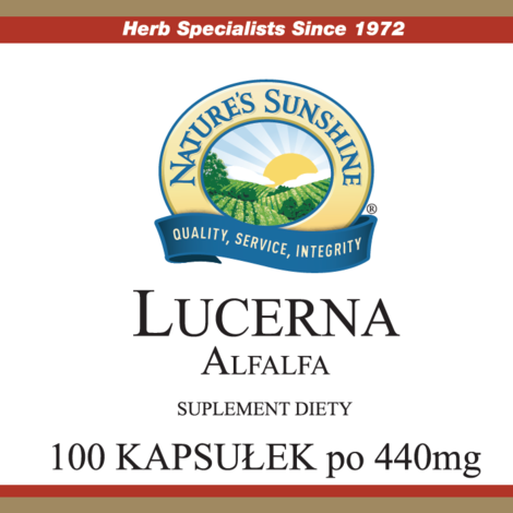 Lucerna (100 kaps.) (2)