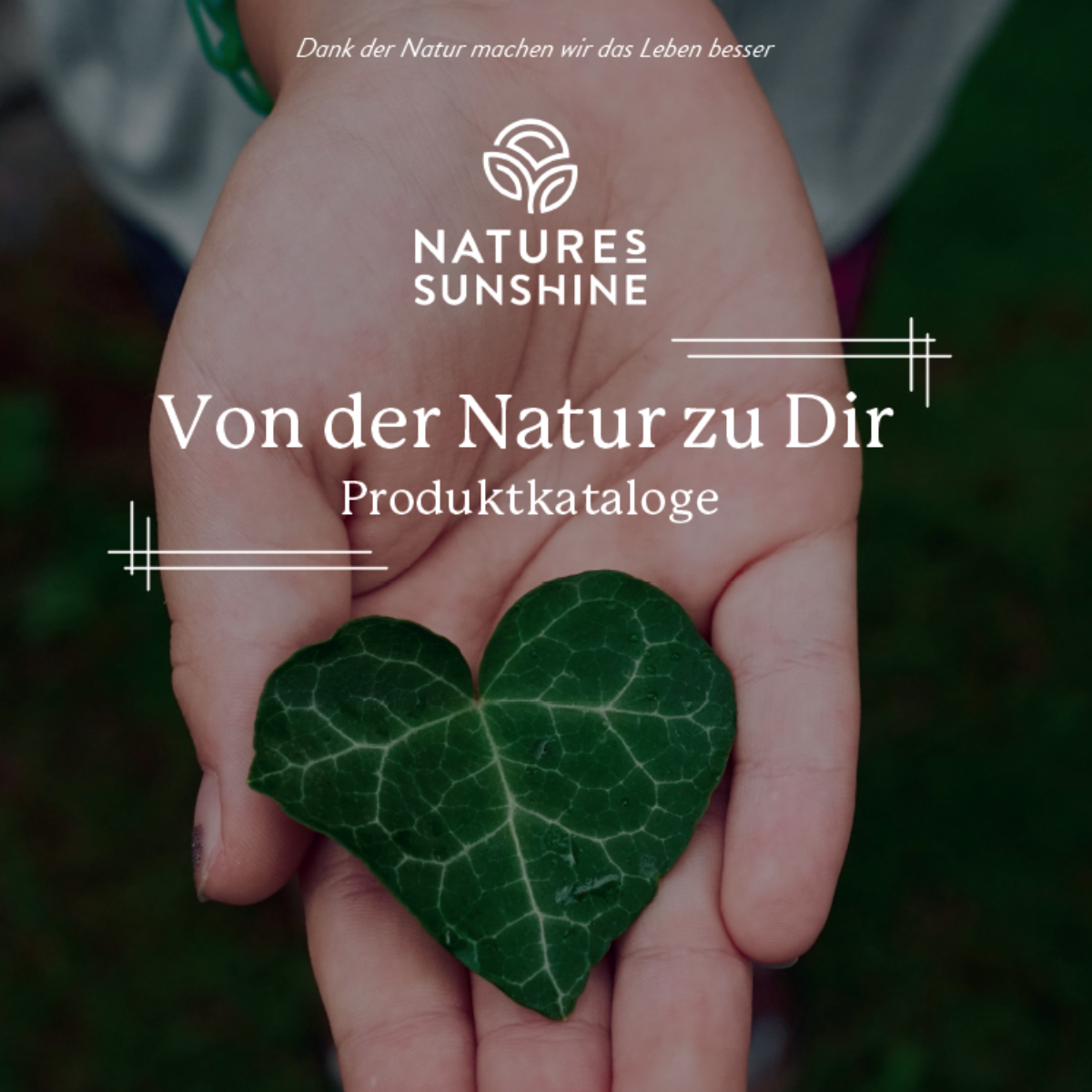 Katalog produktów - Niemiecki (1)