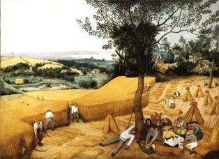 Pieter Bruegel - Żniwa