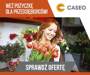 caseo - ofert dla przedsiębiorcy
