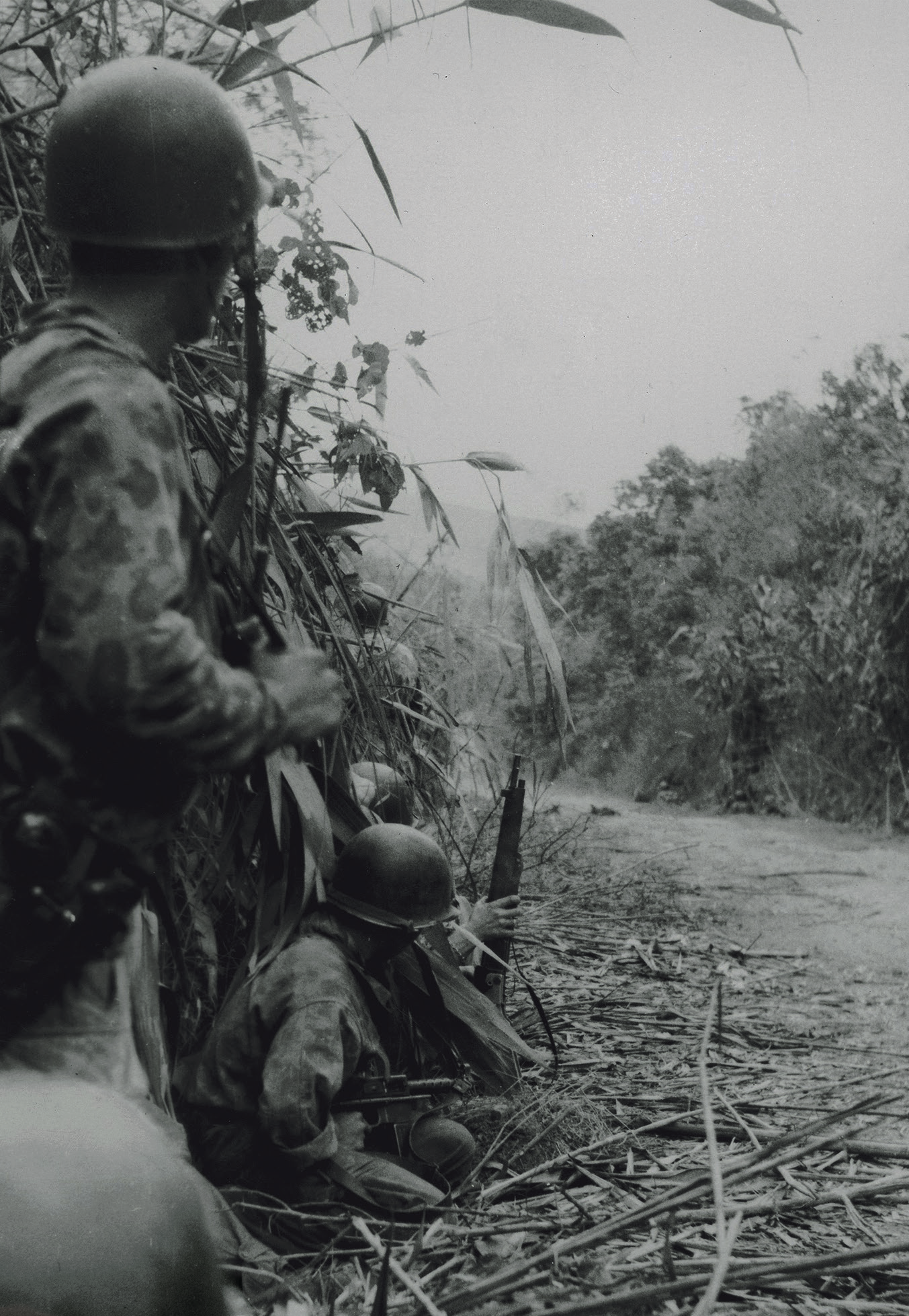 Diabelska Gwardia Nowy front byłych oficerów SS - George Robert Elford