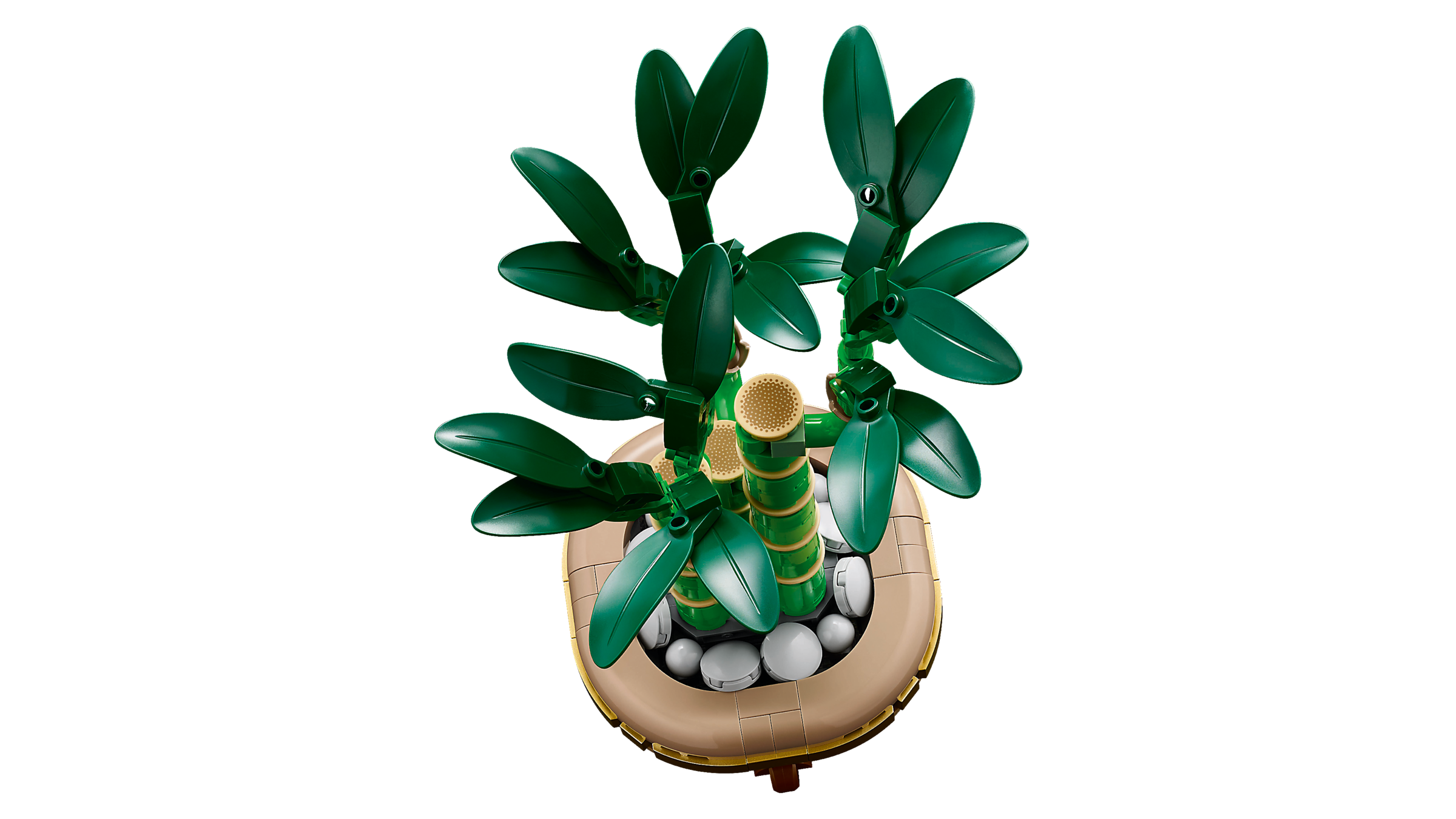 LEGO Botanical Collection Dracena sandera w doniczce 10344