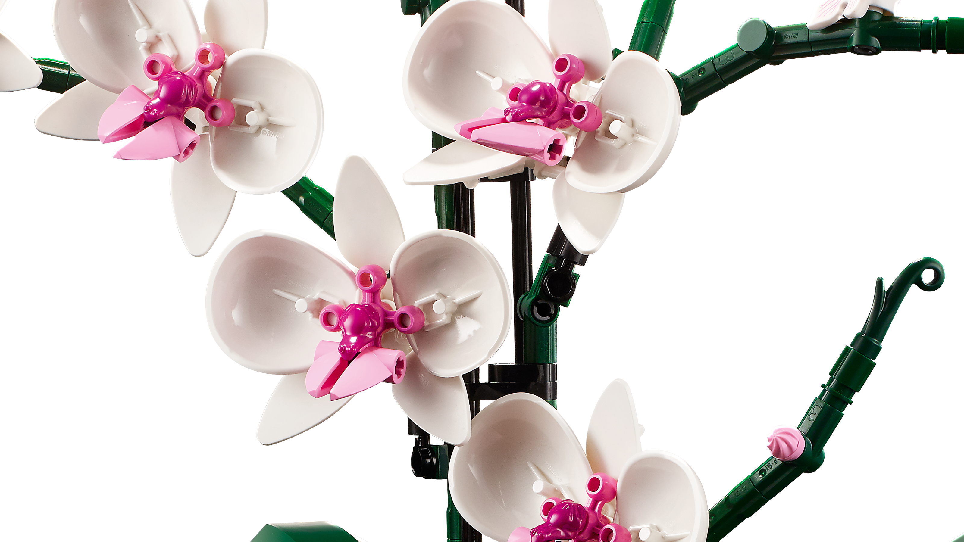 LEGO Botanical Collection Orchidea 10311 - dekoracyjny model dla dorosłych