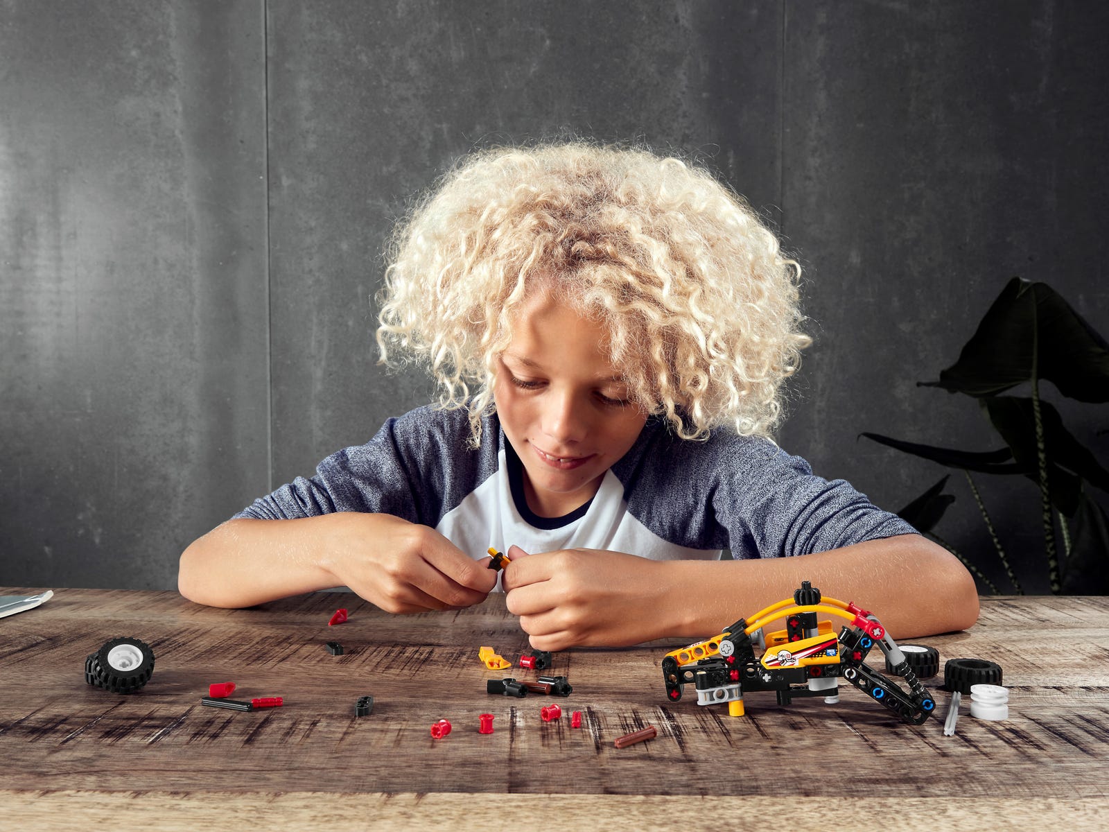 LEGO Technic Łazik 2w1 42101