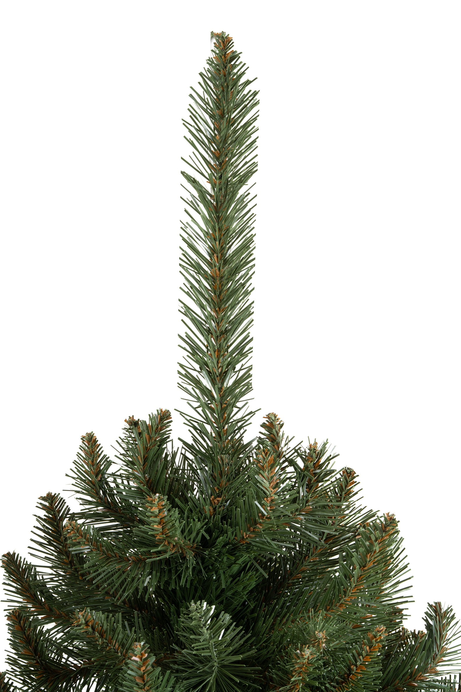 Choinka Świerk Nordycki 220cm