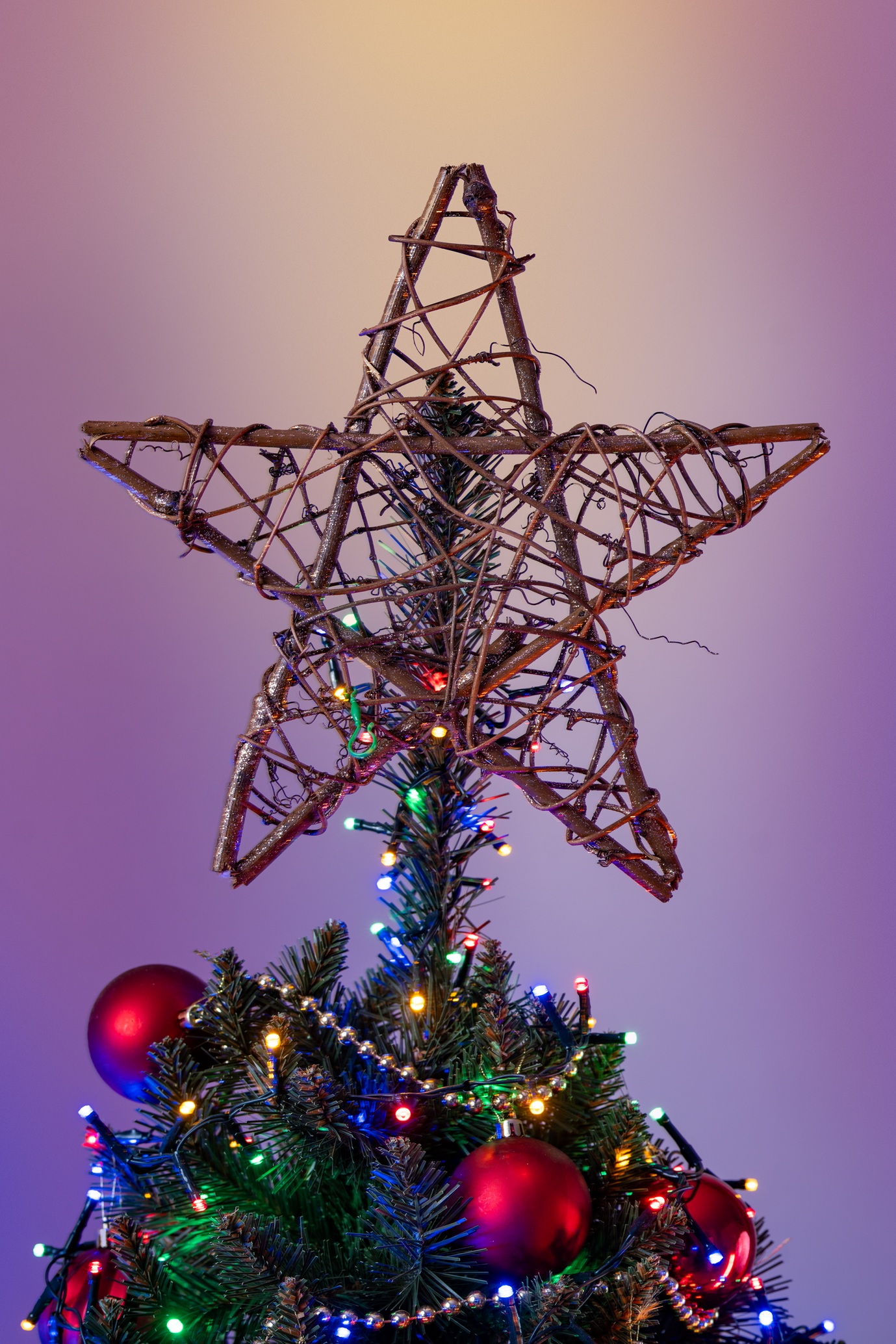 Choinka Świerk Nordycki 180cm