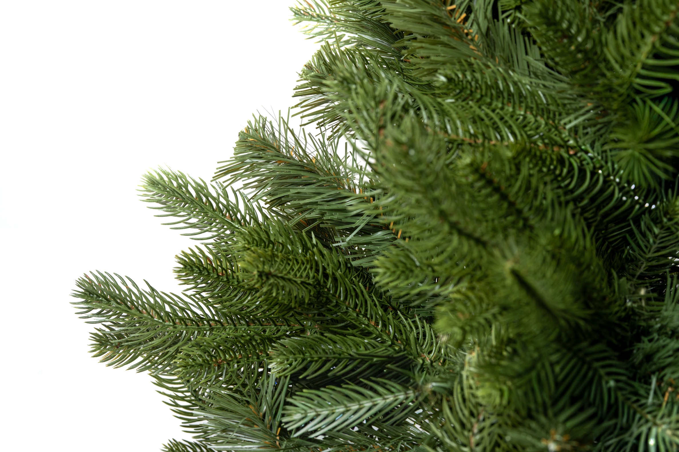 Choinka Jodła Szlachetna 180cm