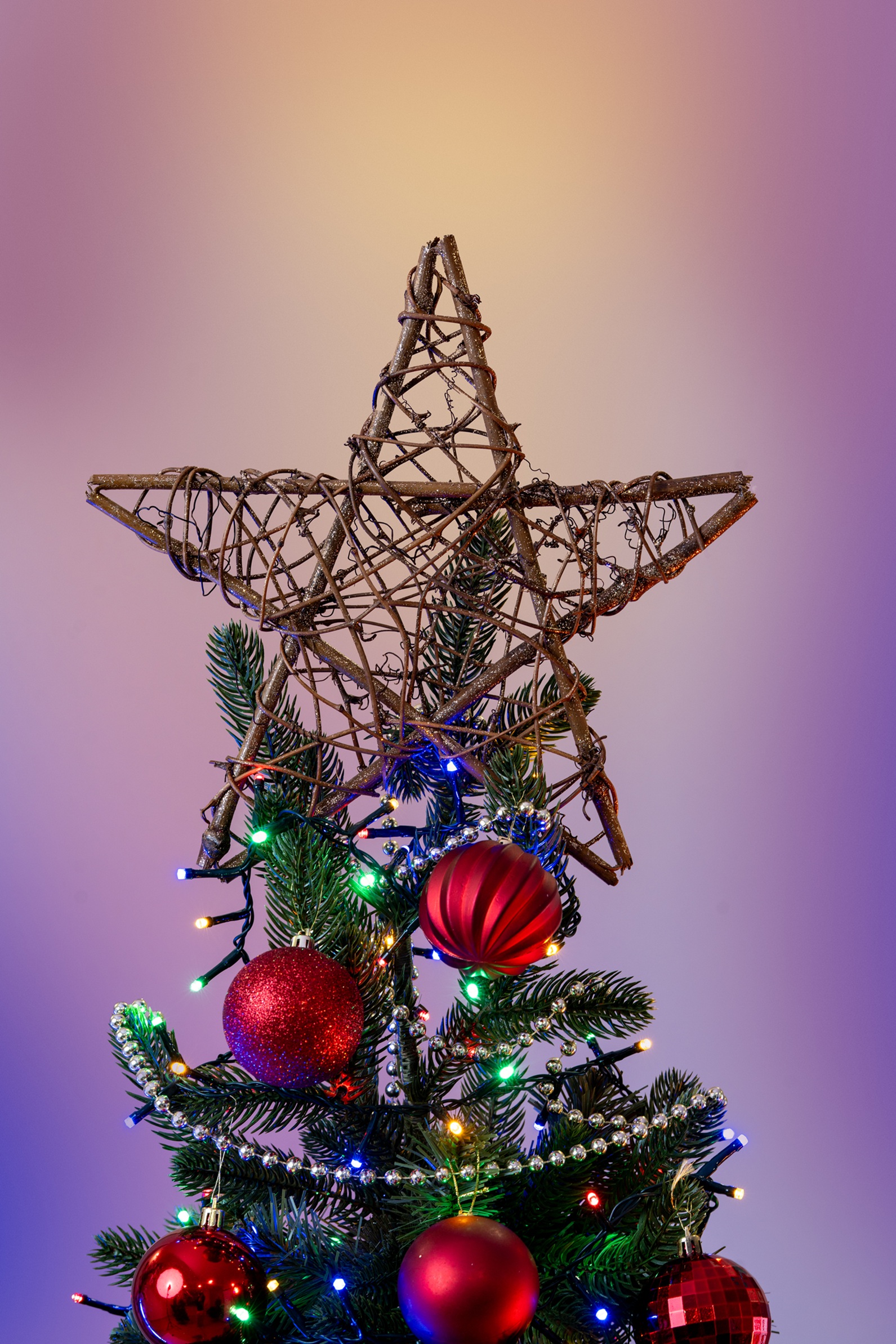 Choinka Jodła Szlachetna 180cm