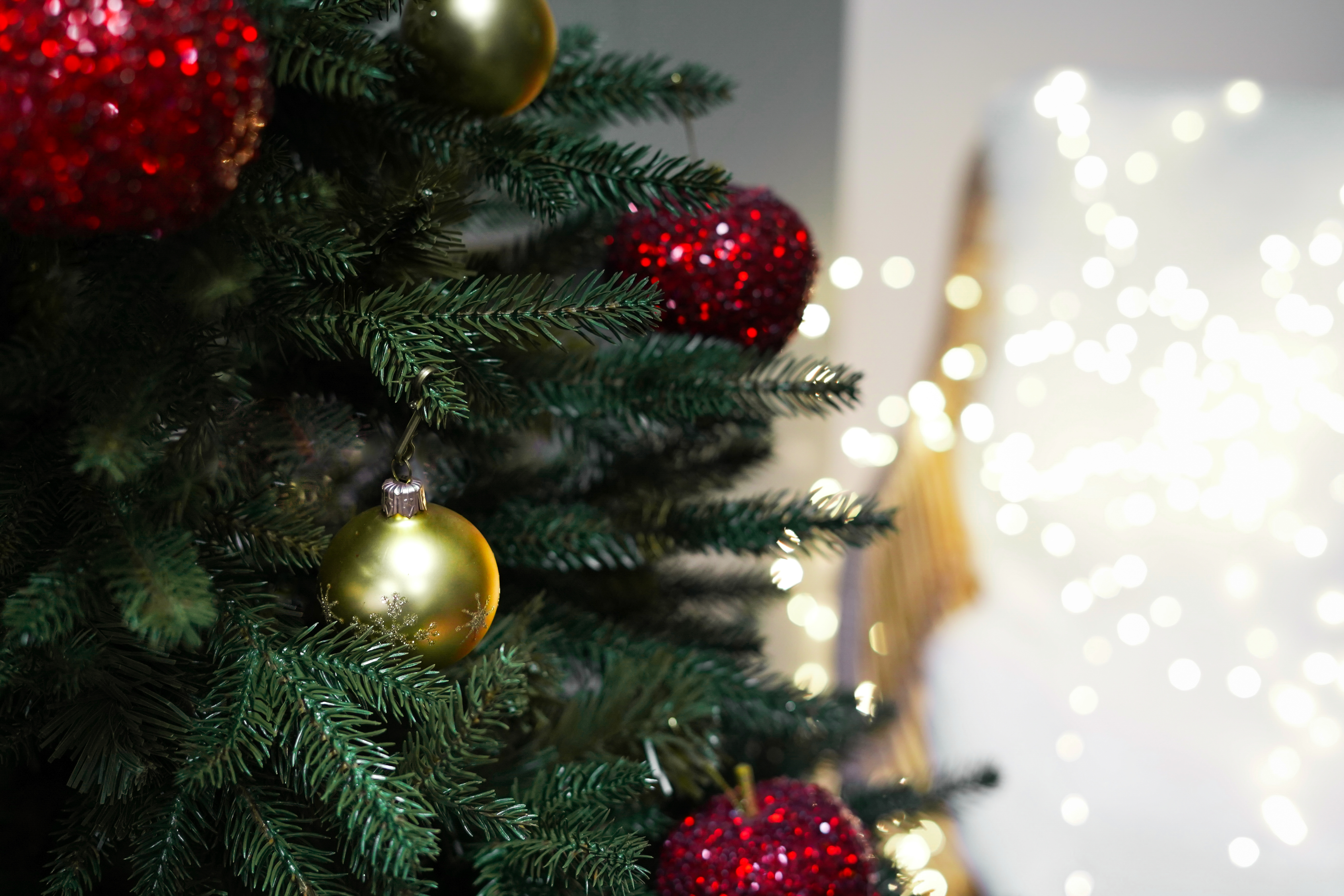 Choinka Świerk Leśny 220cm