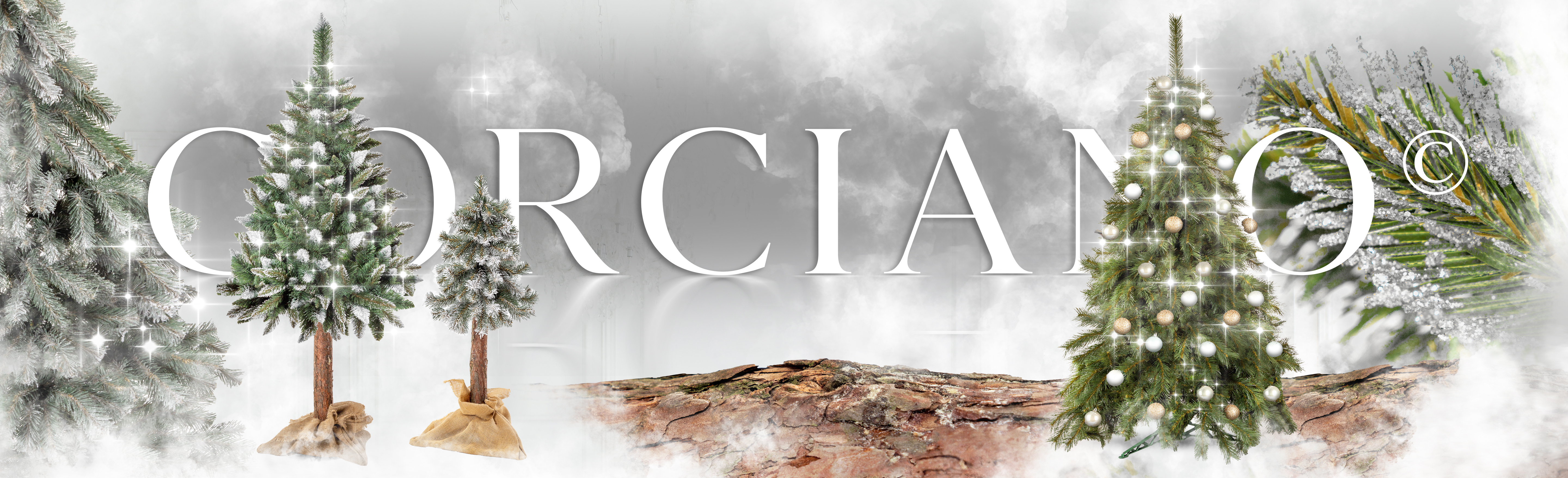 Choinka Świerk Leśny 220cm