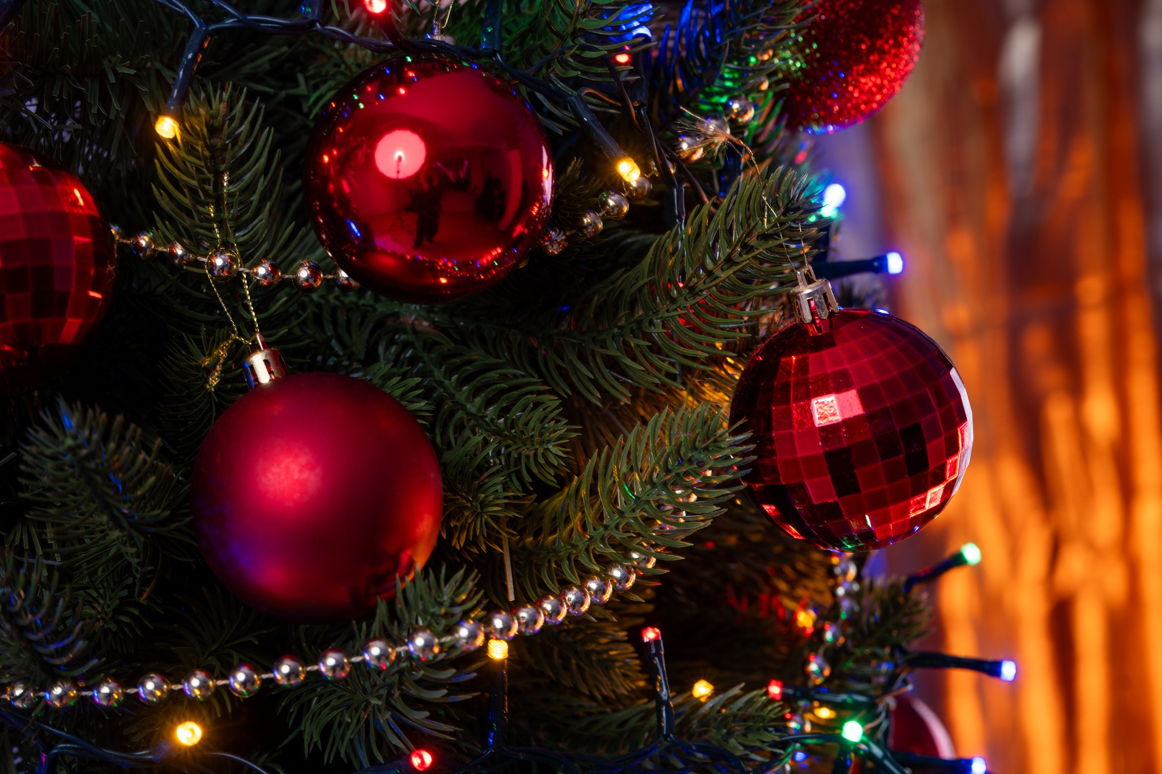 Choinka Jodła Szlachetna 180cm