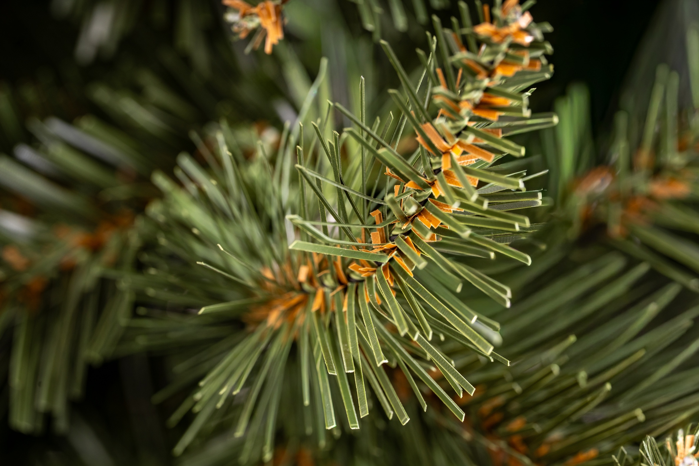 Choinka Świerk Nordycki 180cm