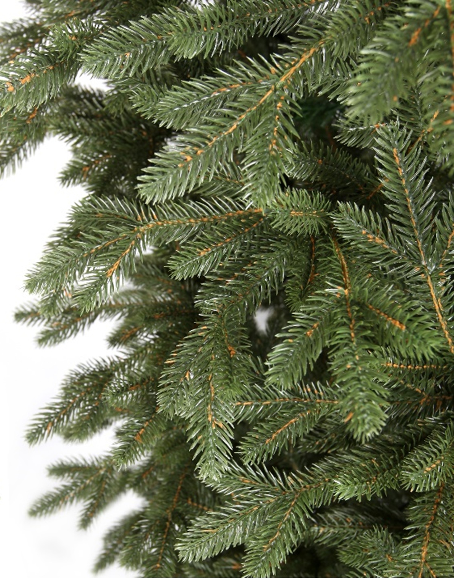 Choinka Świerk Leśny 180cm