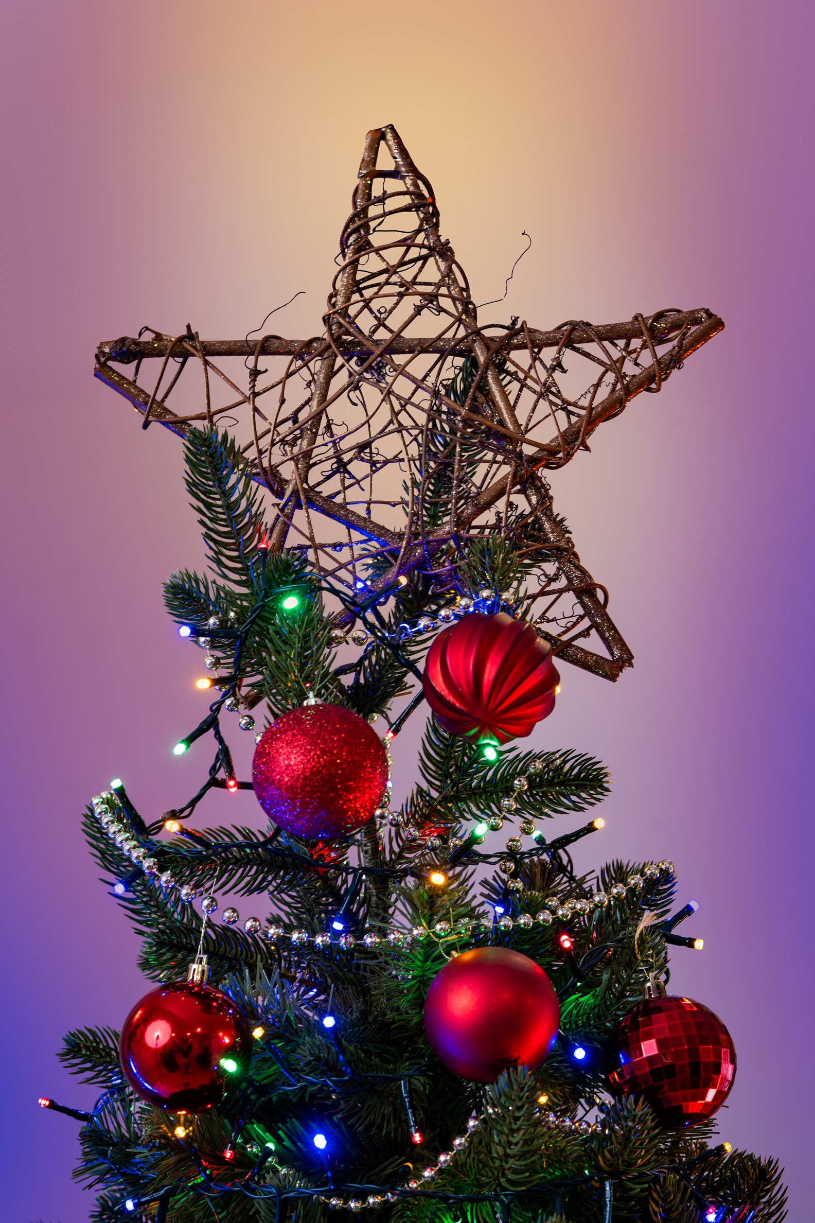 Choinka Świerk Leśny 220cm