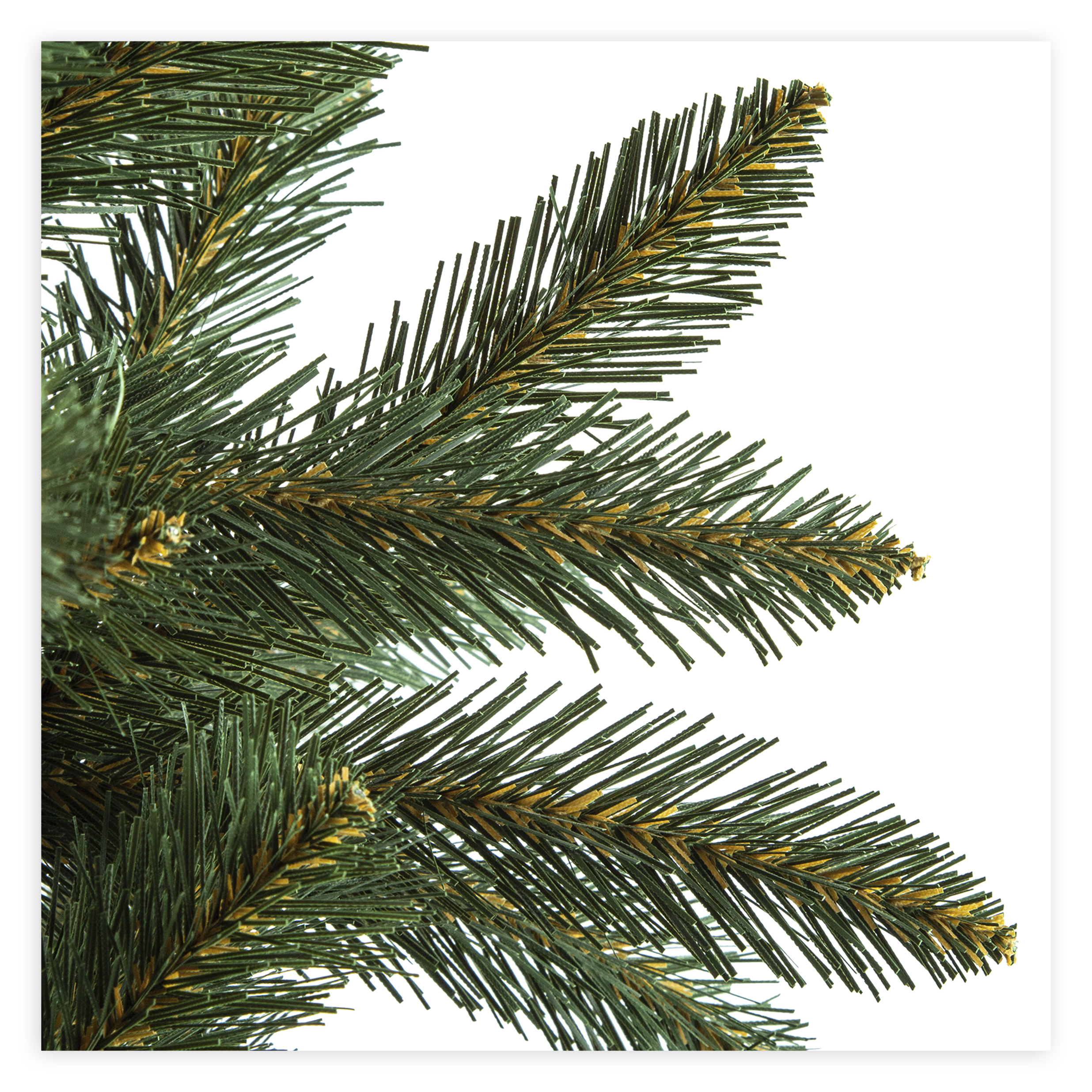 Choinka Świerk Nordycki 220cm