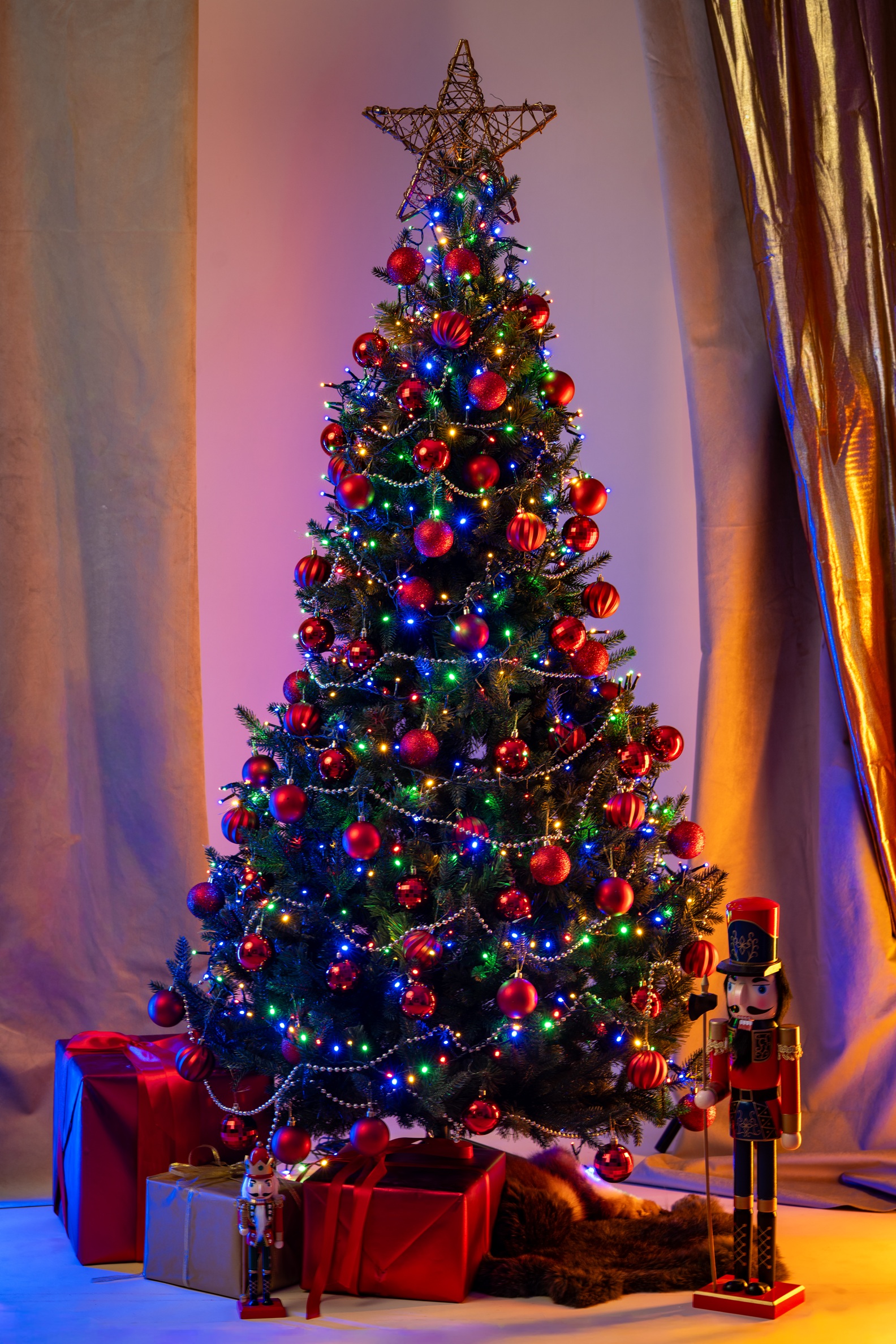 Choinka Świerk Leśny 220cm