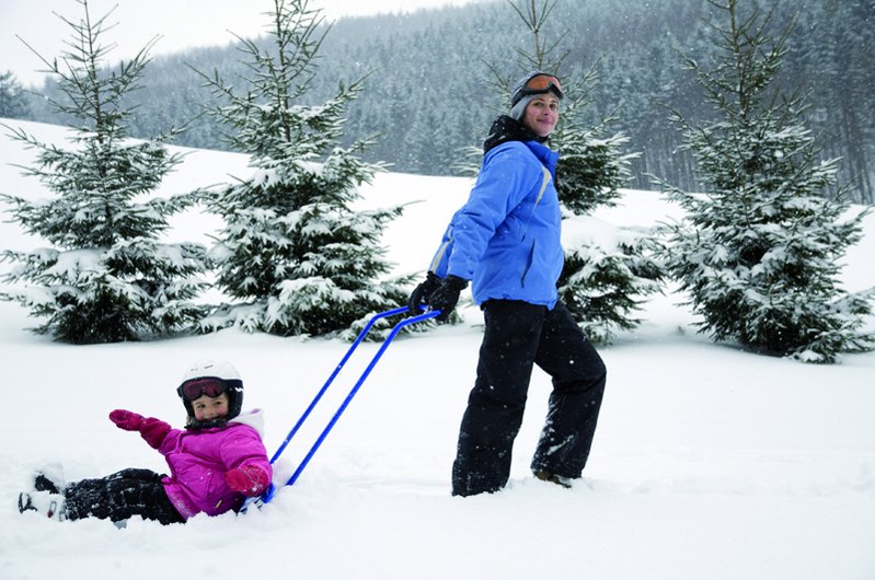 ARCTIC łopata pług do śniegu PROSPERPLAST ILB