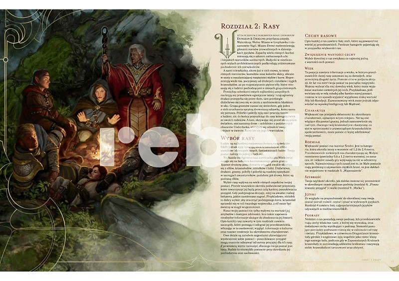 D&D PODRĘCZNIK GRACZA