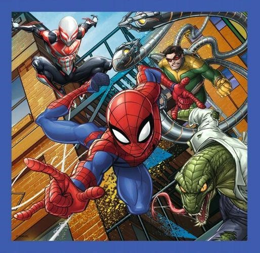 Puzzle 3w1 - Pajecza sila 34841