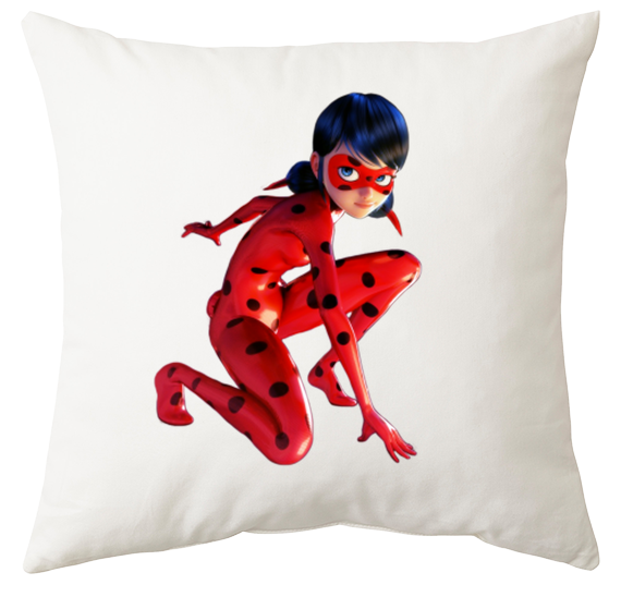 Poduszka Biedronka i Czarny Kot