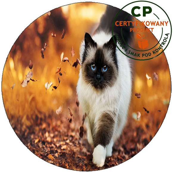 Opłatek na tort Koty