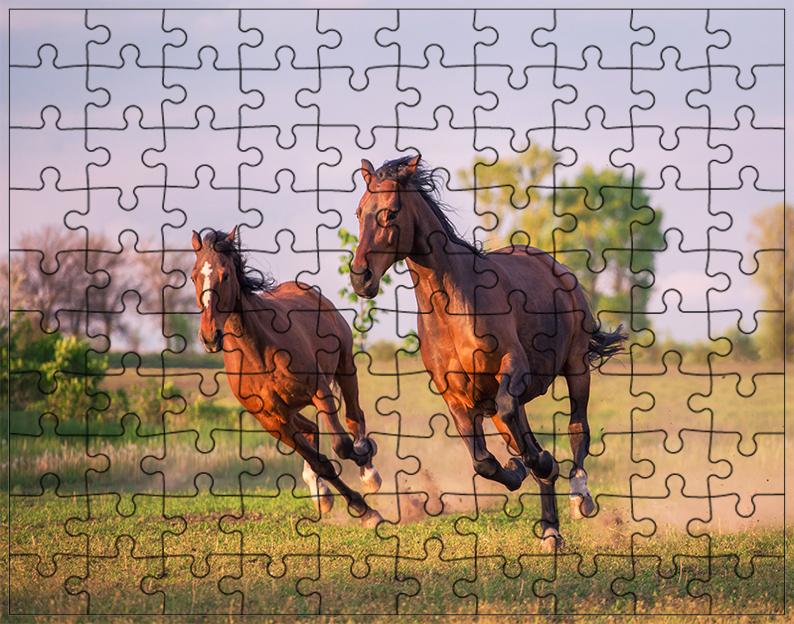 Puzzle Konie