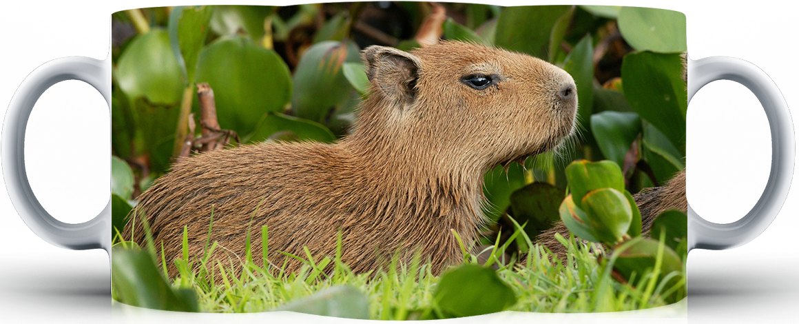Kubek ceramiczny Kapibara