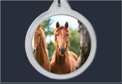 Brelok do kluczy Konie