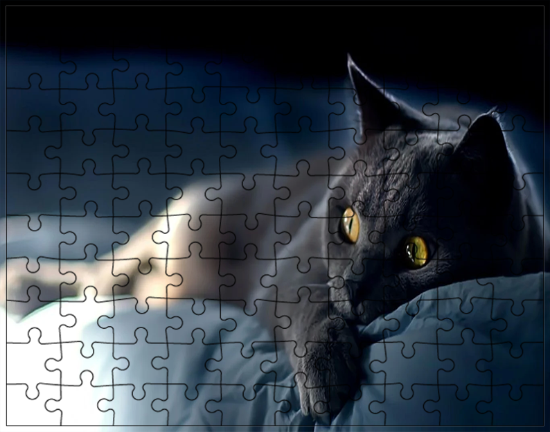 Puzzle Koty