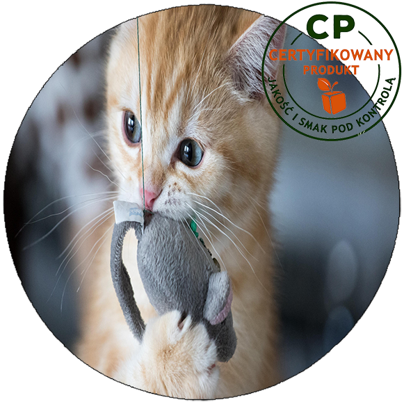 Opłatek na tort Koty