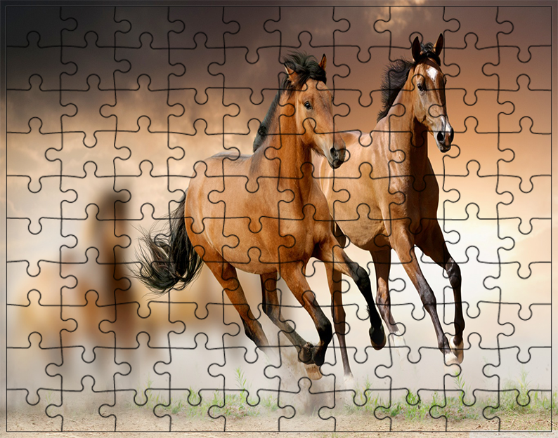 Puzzle Konie