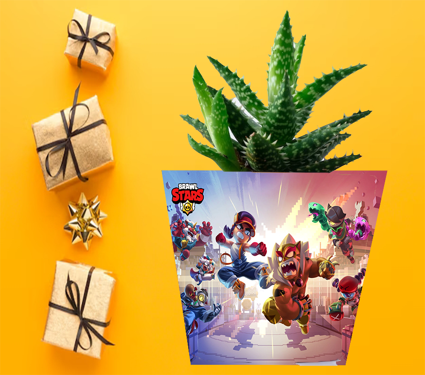 Doniczka do kwiatów - Brawl Stars