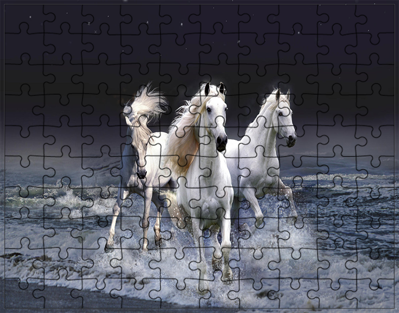 Puzzle Konie