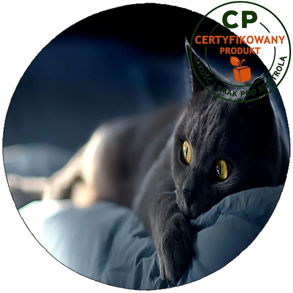 Opłatek na tort Koty