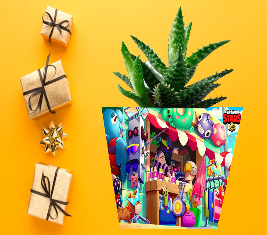 Doniczka do kwiatów - Brawl Stars