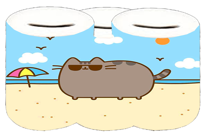 Skarbonka Pusheen