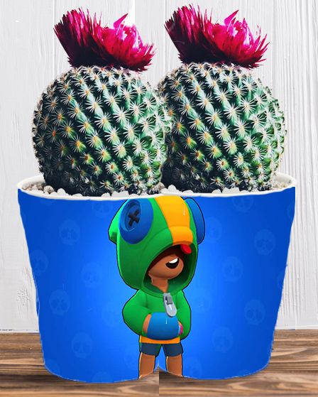 Doniczka do kwiatów - Brawl Stars