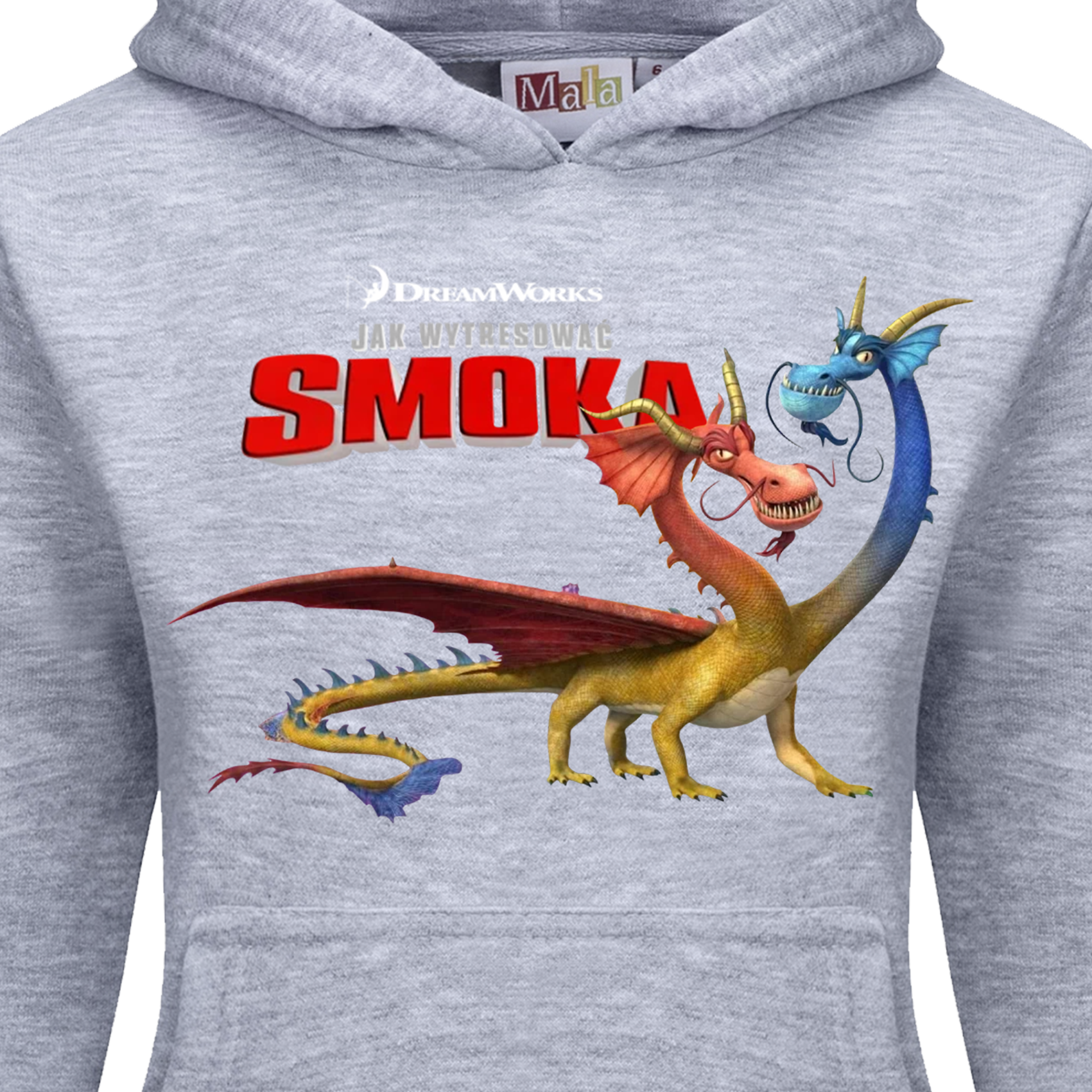 Dres Dziecięcy Jak wytresować smoka - How to train your dragon