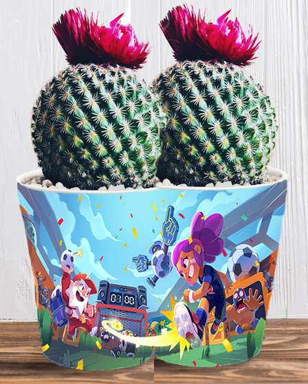 Doniczka do kwiatów - Brawl Stars